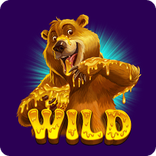 beary-wild-bear.png