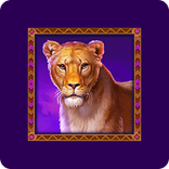 lioness.png