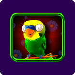 parrot.png
