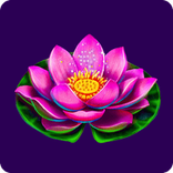 lotus.png