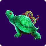 turtle.png