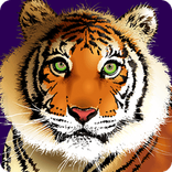 tiger-treasure-tiger.png