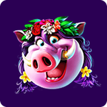 hula-pig.png